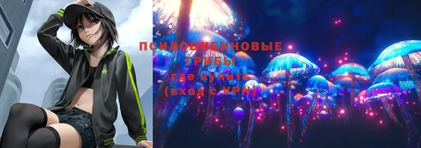 а пвп мука Рославль