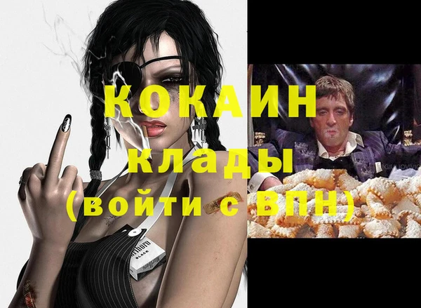 индика Горняк