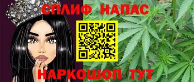 стаф Будённовск