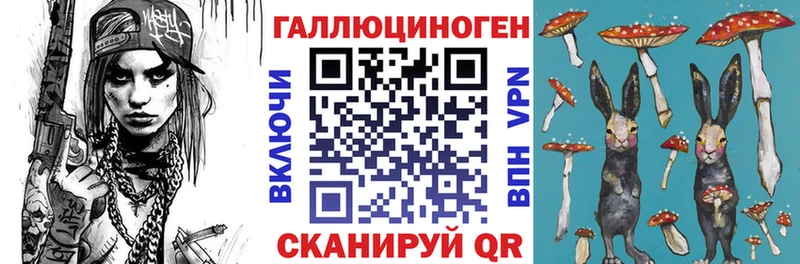 как найти   Дмитров  Галлюциногенные грибы GOLDEN TEACHER 
