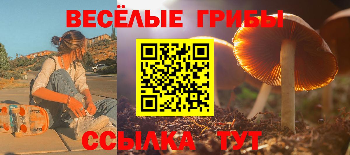 Галлюциногенные грибы мицелий Дмитров