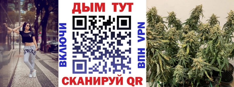 Марихуана семена  Дмитров 