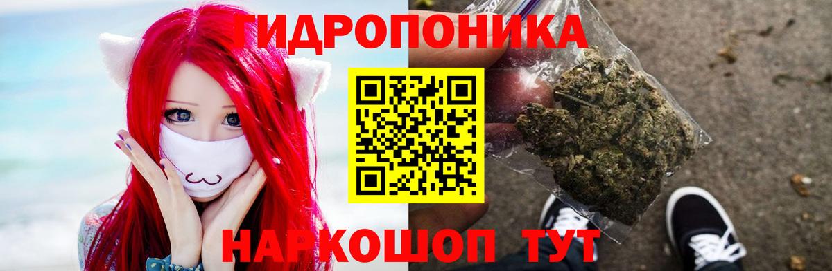 Канабис OG Kush Дмитров