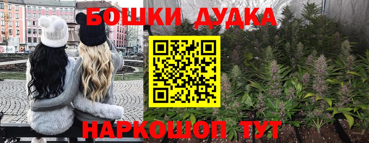 Дмитров  Каннабис конопля  Конопля Bruce Banner  Вход с VPN  Марихуана Amnesia  Бошки марихуана индика 